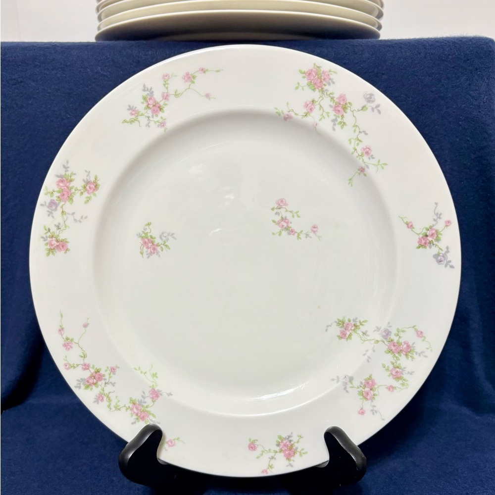 Theodore Haviland New York Made in USA Pink Spray Set of 9 10 1/4" Dinner Plates - Picture 10 of 11